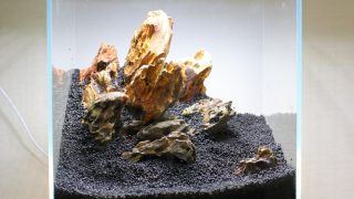 カミハタ　気孔石　レイアウト